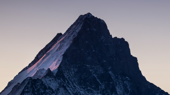 Die Rolle und Relevanz des Schweizer Banksektors