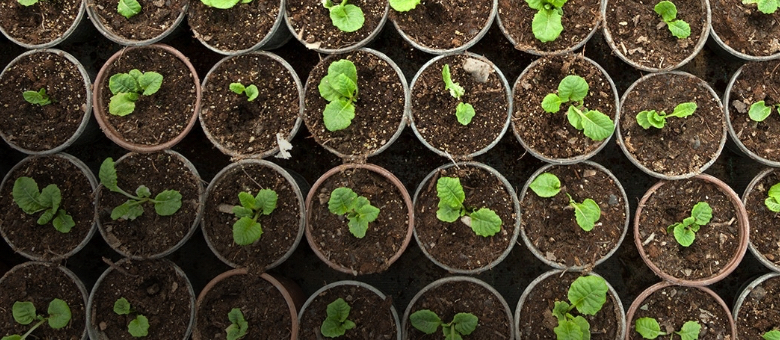 How African financial institutions embed sustainability